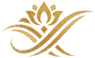 NAV वस्त्र logo